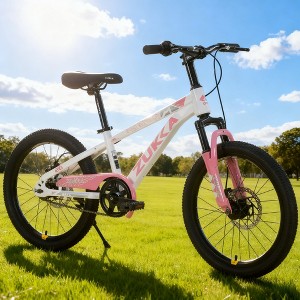 KWPZQEB 20 Inch Mountain Bike with Steel Frame, Outdoor Cycling Bike with Dual Disc Brake System & Adjustable Saddle, Kids Bicycles for Boys & Girls - 1 of 4