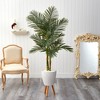 Nearly Natural 5.5-ft Golden Cane Artificial Palm Tree in White Planter - 3 of 3
