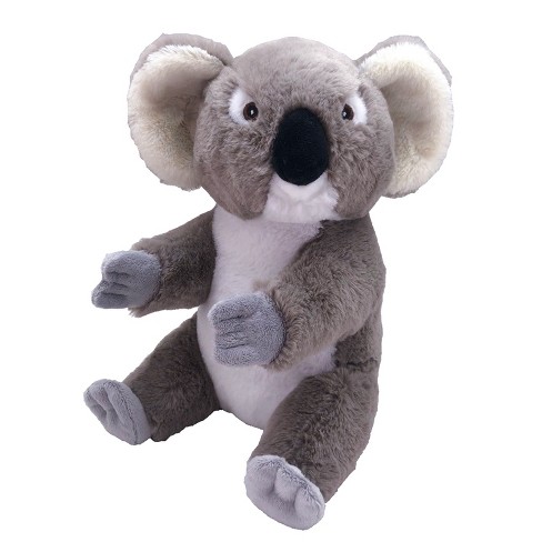 Best Seller Collection – USA Koala Eco