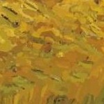 clear push pins bundle