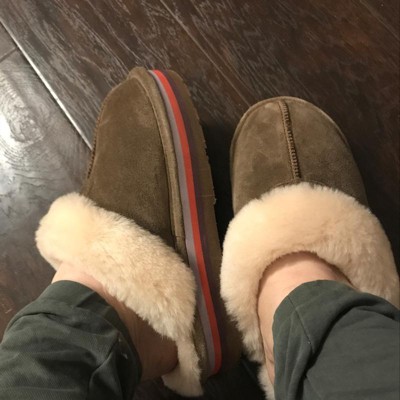 Bearpaw retro loki online suede slipper