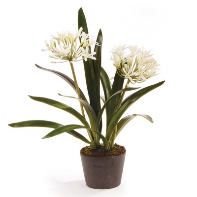 Plum & Post Agapanthus Drop-In Faux (Fake) 23"