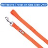 Reflective Leash 6 ft - 3 of 4
