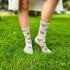 Squirrel with Nut Socks (Women's Sizes, Adult Medium) from the Sock Panda - 2 of 4