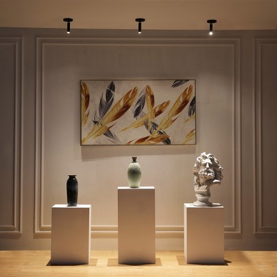 Gray Adjustable LED Flush Mount Spotlight