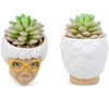 Silver Buffalo The Golden Girls Sophia Face Mini Ceramic Planter With Faux Succulent | 3 Inches - 2 of 4