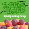 Crazy Candy Halloween Freeze Dried Candy - Fright Bites - 2.5oz - 4 of 4