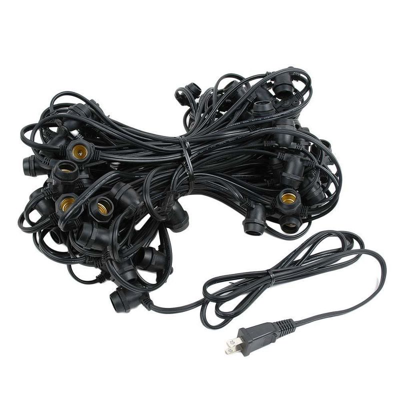Novelty Lights Globe Outdoor String Lights with 25 In-Line Sockets Black Wire 25 Feet, 5 of 8