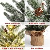 TackView 24''Artificial Christmas Tree, Table Top Tree Mini Frosted Pine Tree for Home Table Office Decorations - 4 of 4