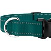 Country Brook Petz Deluxe Reflective Nylon Dog Collar - 4 of 4