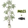 Garvee Artificial Plants Indoor,Faux Floor Plant in Pot, Nandina Artificial Tree with White Planter for Home Decor Office Living Room - 2 of 4