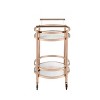 Acme Furniture Lakelyn Bar Serving Cart - 3 of 4