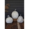 Metal Pumpkins Set of Three Rustic Harvest Display by Kalalou - 4 of 4