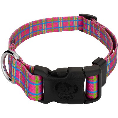 Basic Dog Adjustable Collar With Color Matching Buckle - Boots & Barkley™ :  Target