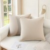 REGALWOVEN Fade-Resistant Modern Soft Solid Cushion Cases 2 Pcs - 2 of 4