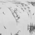 Gray Deer Toile