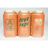 Avondale Sour Pash - 6pk/12 fl oz Cans - 3 of 3