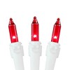 Novelty Lights 100 Light Incandescent Mini Christmas String Lights White Wire 50 Feet - 3 of 4