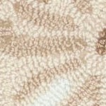 sea biscuit natural