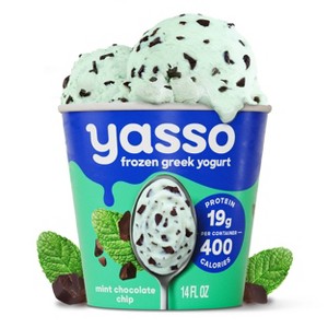 Yasso Mint Chocolate Chip Frozen Greek Yogurt - 14 fl oz - 1 of 4