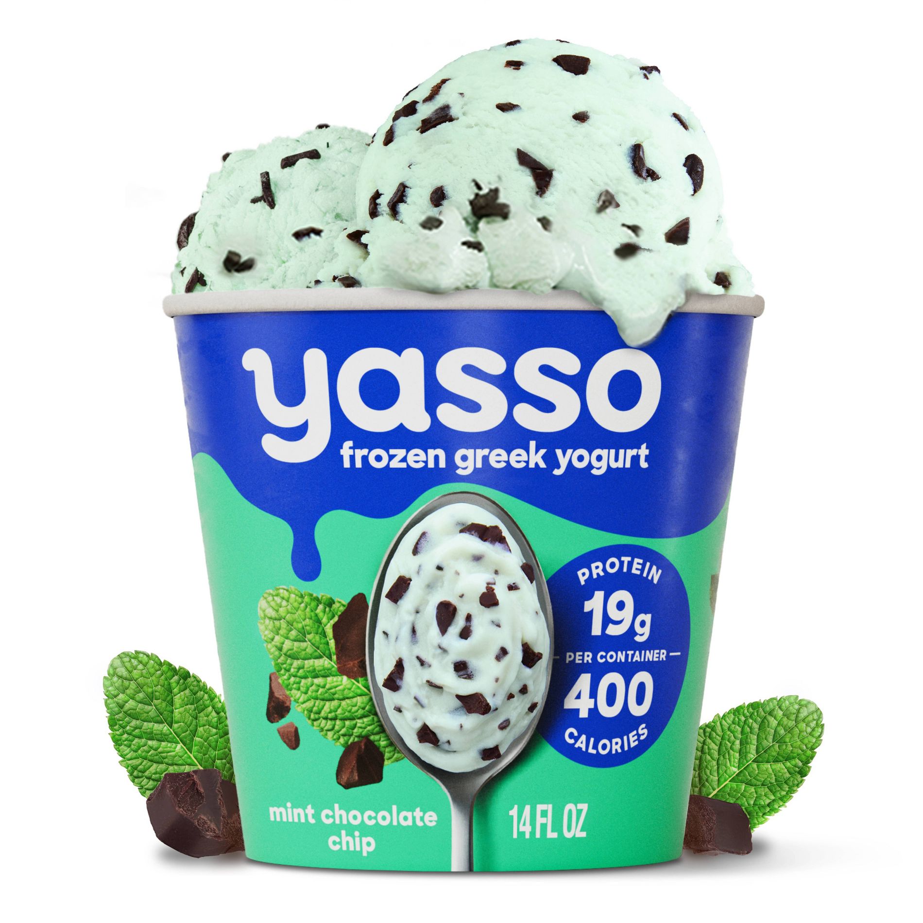 Yasso Mint Chocolate Chip Frozen Greek Yogurt - 14 fl oz