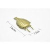 Collectible Wildlife Gifts | Sidneyia, Arthropod Fossil, Cambrian Sea Animal, Very Nice Plastic Reproduction    2"    F3476 B352 - 2 of 4