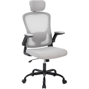 Ergonomic Office Chair with Adjustable HeadRest Lumbar Support, Mesh High Back Computer Chair for Desk and Home Office,Rolling Chair - 1 of 4