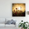 Trademark Fine Art -Christian Marcel 'Watching The Sun' Canvas Art - 3 of 4