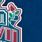 clear push pins bundle