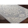 Hauteloom Aure Area Rug - 4 of 4