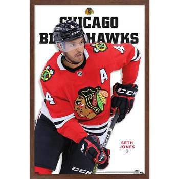 Evergreen Chicago Blackhawks Round 23 in. Plug-in LED Lighted Sign