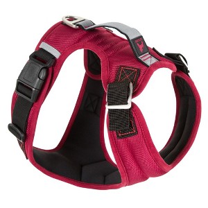 Gooby Pioneer Dog Harness with Control Handle & Seat Belt Restrain Capability, Small, Red - 1 of 1