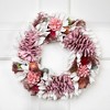 Northlight Frosted Thistle and Pinecone Artificial Christmas Wreath - 14" - Unlit - 2 of 4