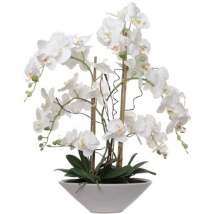 Floral Home 23" White Phalaenopsis in White Boat Vase - 1-Piece - 1 of 3