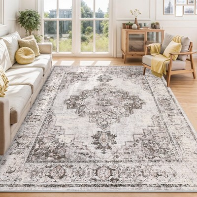 Soft Vintage Low Pile Large Washable Area Rug, Farmhouse Non-Slip Indoor Rugs for Living Room Bedroom