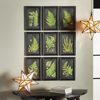 Set of 9 Framed Fern Botanical Prints with Black Background