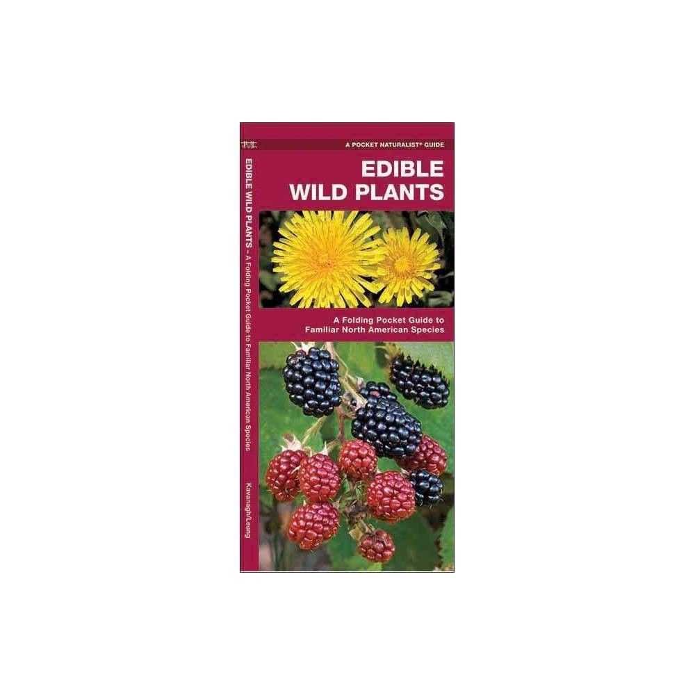 ISBN 9781583551271 product image for Edible Wild Plants ( A Pocket Naturalist guide) (Paperback) | upcitemdb.com