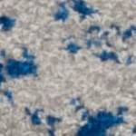 grey/blue