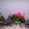 Unique Bargains Colorful Coral Reef Decor Mini Faux Coral Decor for Aquarium Decorations 6.5"x5.83" 1 Pcs - 2 of 4