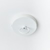 Plum & Post Lucia Ceiling Pendant Lamp - 4 of 4