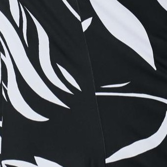 black abstract petal