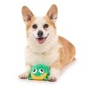 BARK Summer Big Shake Lake Billy Ballfrog Dog Plush Toy - 4 of 4
