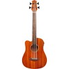 Gold Tone 23-Inch Scale Fretless Left-Handed Acoustic-Electric MicroBass - 2 of 2