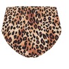 Women's Plus Size Vigo Hi Waist Bikini Brief - animal | CITY CHIC - 3 of 4