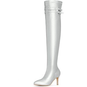 BLISSFUL STEP Pointed Toe Over the Knee High Zipper Stiletto High Heel Boots for Women - 1 of 4