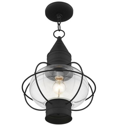 Black Nautical Outdoor Pendant Light with Clear Glass Globe