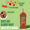 Zing Zang Blazing Bloody Mary RTS Cocktail - 1.75L - 2 of 4