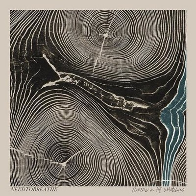 Needtobreathe - Rivers in the Wasteland (Vinyl)