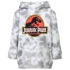 Jurassic Park Fleece Pullover Hoodie Logo Toddler to Big Kid - 2 of 4