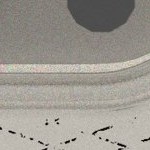 john cena (farewell tour)